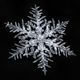 Image for article titled A photographer’s scientific approach to shooting snowflakes reveals stunning geometric variety